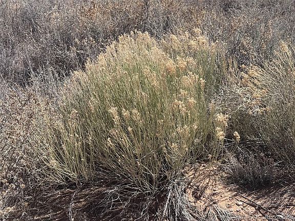 5th image of N 90 County Road 19.5