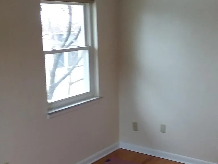 250 Maple St #2 — Photo 17