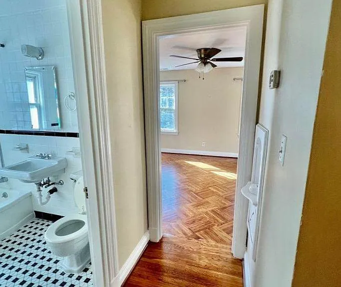 227 Mount Holly Ave #4 — Photo 7