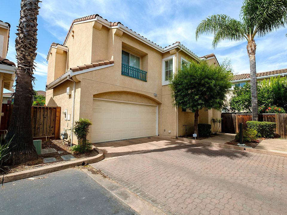 1st image of 2567 Palmetta Palm Ct