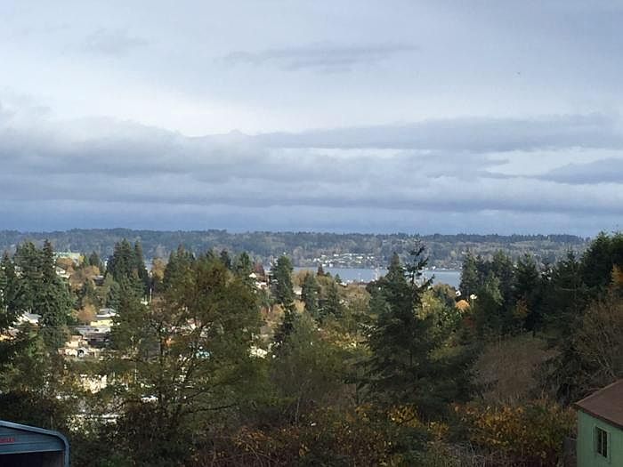 THE VIEW FROM BACK YARD