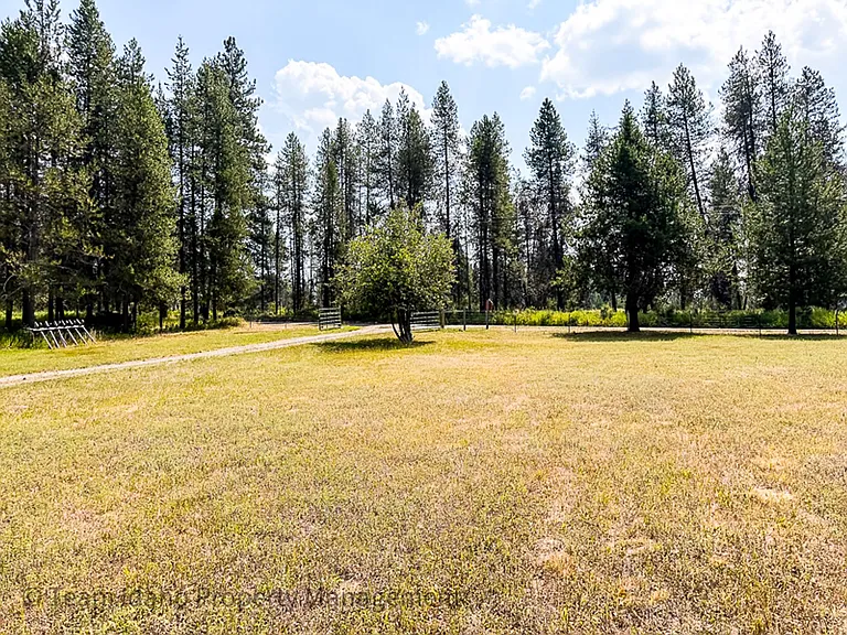 317 Elkhorn Meadows Rd — Photo 4