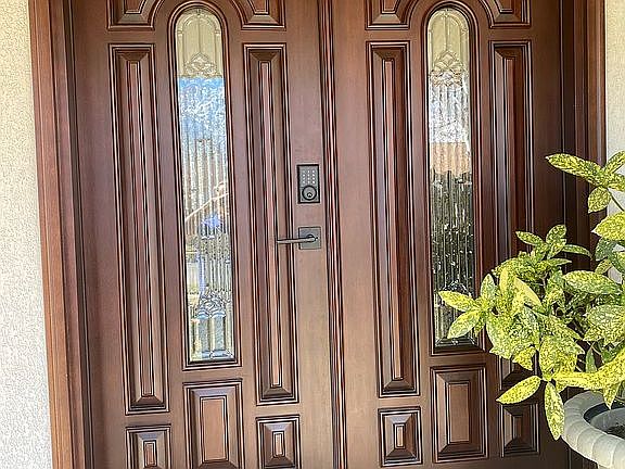 Beautiful Mahogany Wood Door