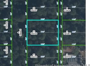 Yearling Ave, Weeki wachee, FL 34607