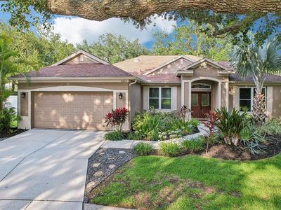 2222 Longmore Cir, Valrico, FL, 33596