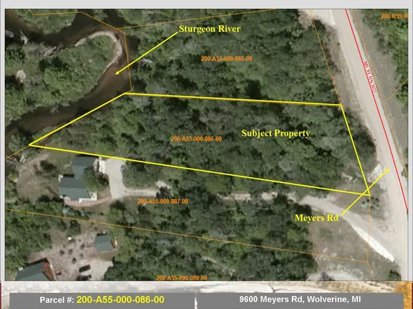 9600 Meyers Rd, Wolverine, MI 49799