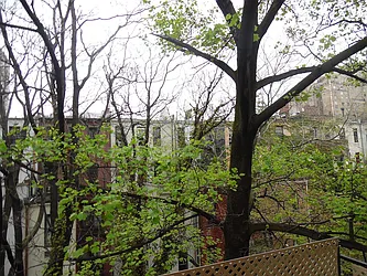 Rented by Love Where You Live Realty