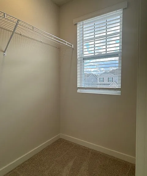 2417 Williams Ridge Dr — Photo 21