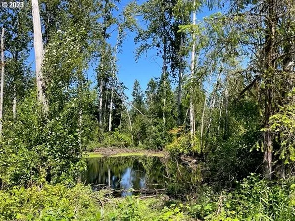 33011 NE 30th Ave, La Center, WA 98629