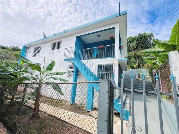 Calle Martin Barry Lote #4, Orocovis, PR 00720