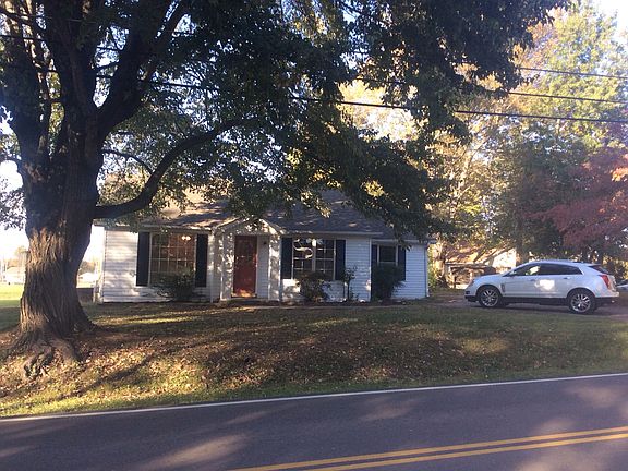 This tree needs a swing! :)