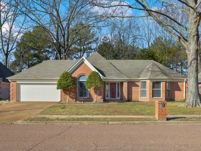 917 Wildbird Cv, Collierville, TN, 38017