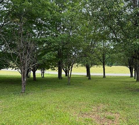 2nd image of 1111 Browning Acres Rd Lot 9