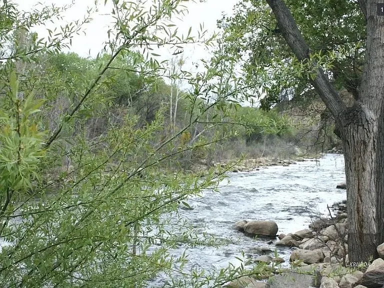 25 Chaparral Ct — Photo 23