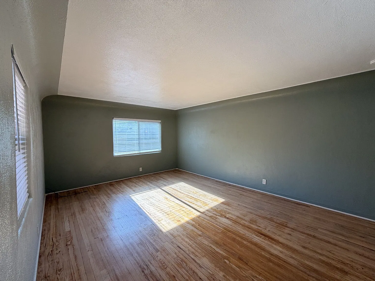 Spacious Mid Century 1 Bedroom Near UNM — Photo 2