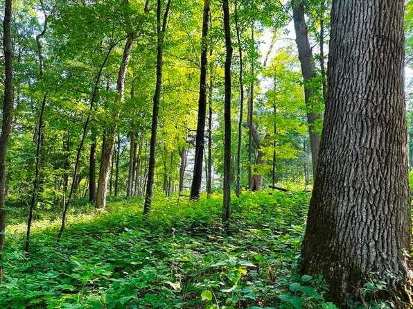 0 Old Town Ln, Muscoda, WI 53573