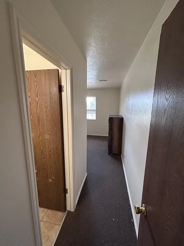 1 bed, $450 — Photo 3