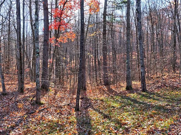 2nd image of 11369N Vasa Road