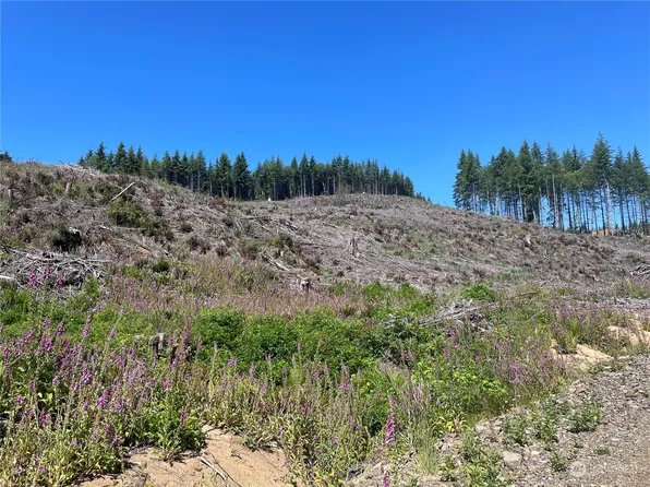 0 Middle Valley Road, Skamokawa, WA 98647