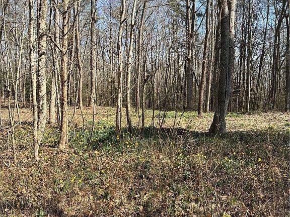 2nd image of 765AC Native American Trl