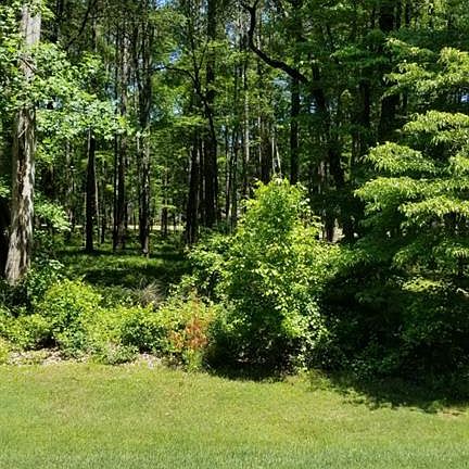 4th image of 1580 Club Dr Lot 0