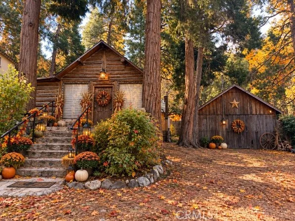 41099 Valley Of The Falls Dr, Forest Falls, CA 92339