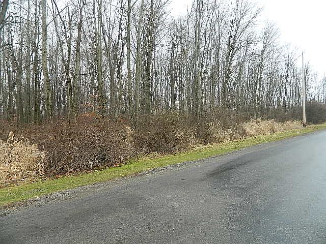 1st image of E Smiley Ave
