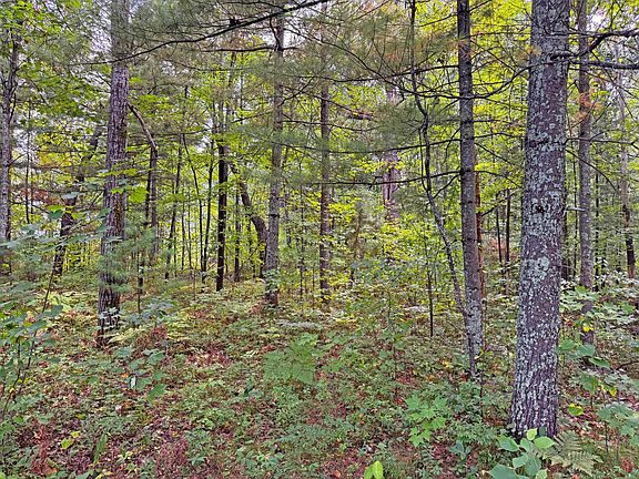 5th image of 24771 Swede Rd