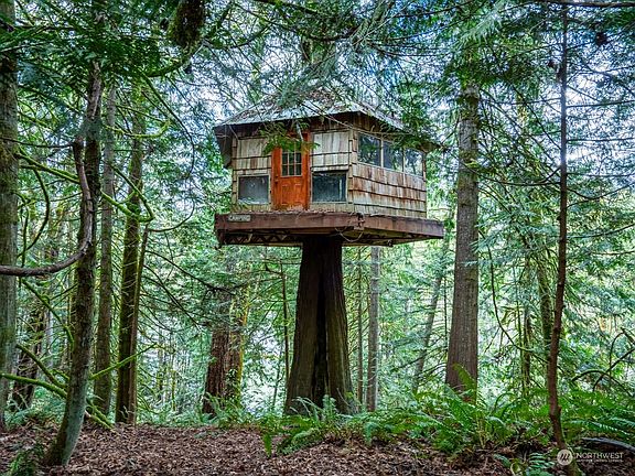 Another photo of this amazing tree house. Imagine the magical experience of sleeping is this Tree House!   (Does need a bit of structural work)>