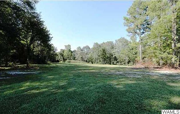 2nd image of 10835 Trion Ln #0