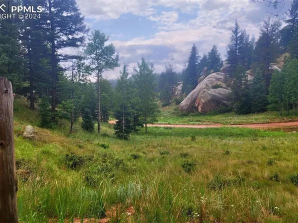 30 Spruce Cir, Florissant, CO 80816