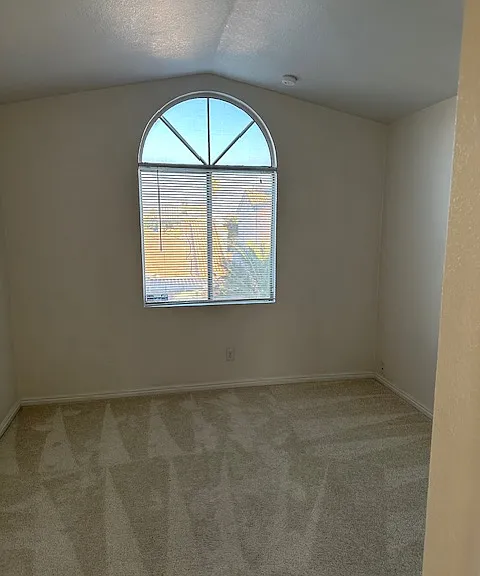 7095 Shadow Crest Dr — Photo 17