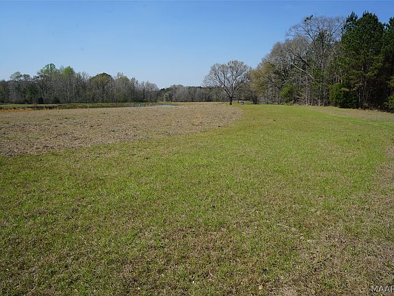 2nd image of 11540 Hobbie Rd