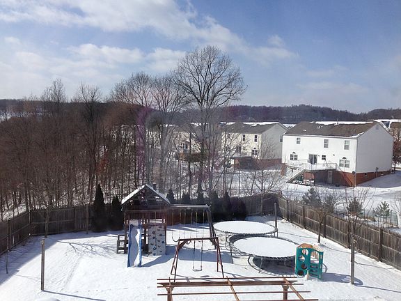 View of the backyard 