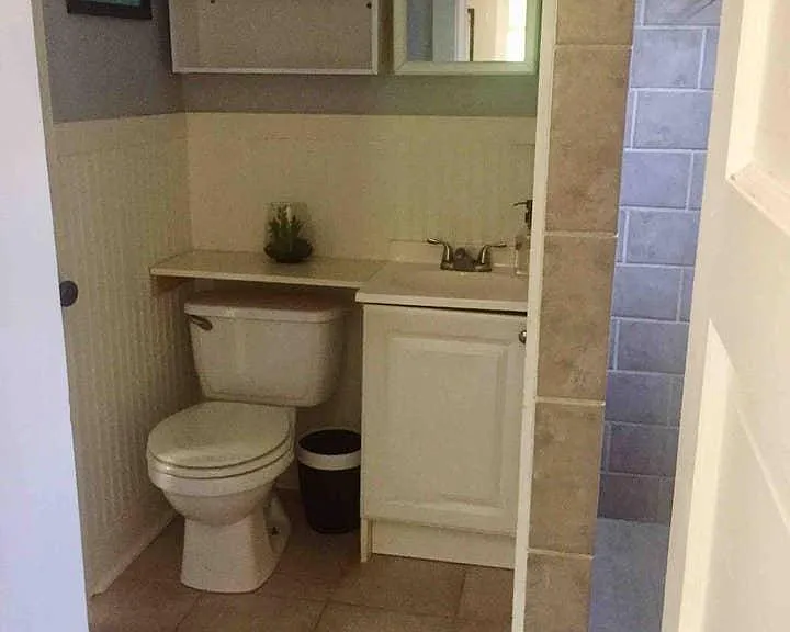 bathroom with walk-in shower