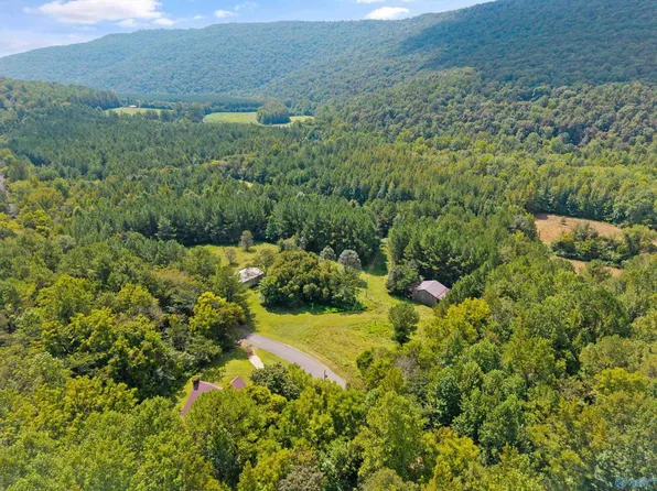 3818 Two County Road 4 Tract 2, Hollytree, AL 35751