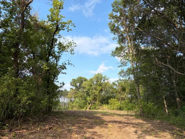 Tulip St NW, Stanchfield, MN 55080