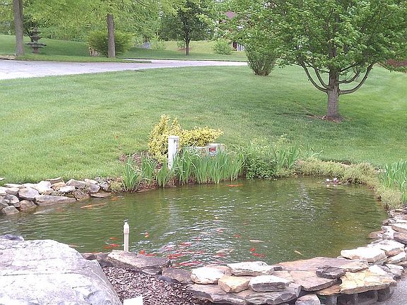 Koi pond w/water fall