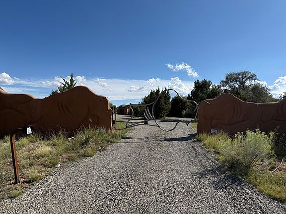 Stucco Buffalo Security Gate designed by original owner and built by Don Redman