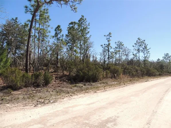 0 NE 150th Ave #20, Williston, FL 32696