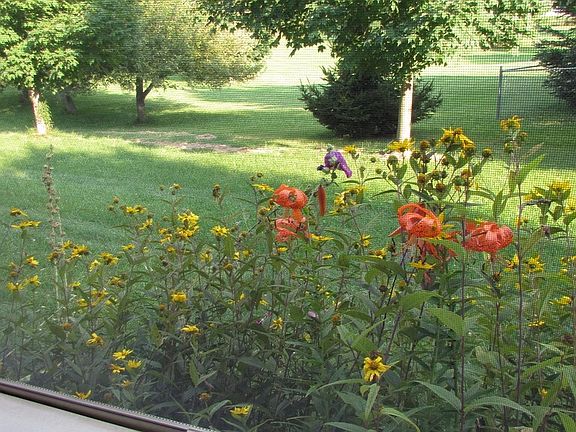 more out of the window