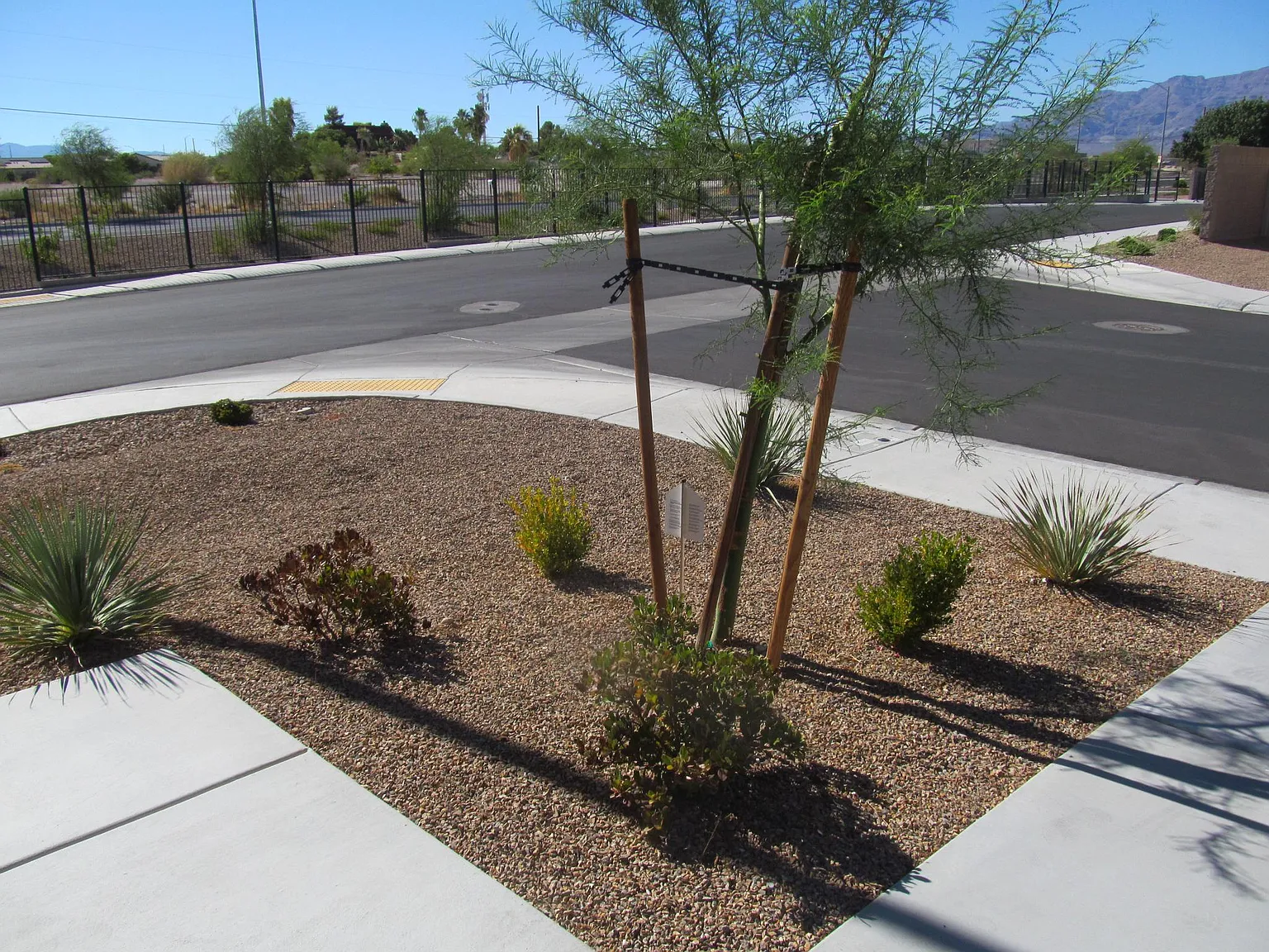 3 bed, 2.5 bath, 1750 sqft, $2,000 — Photo 2