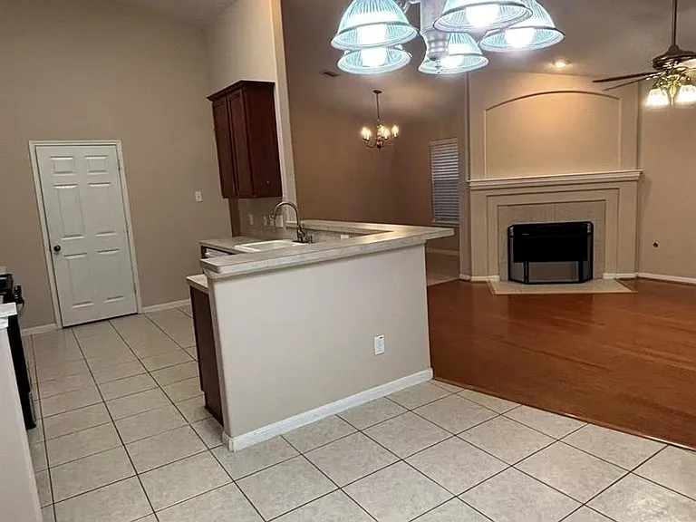25219 Spring Iris Ln — Photo 3