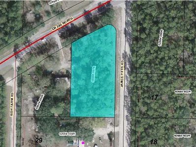 0 James Pitts Rd, Wewahitchka, FL, 32465