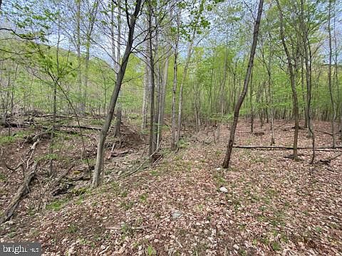 2nd image of 22 Right Hand Gap Rd