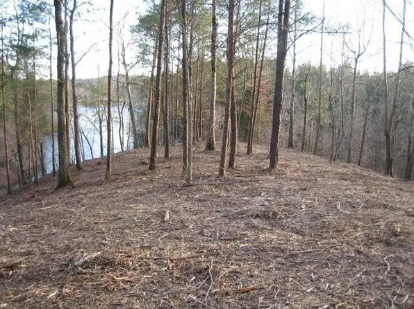 6 Taylors Ferry, Parrish, AL 35580