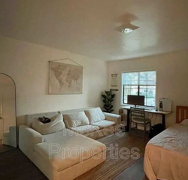 810 1/2 Diamond St — Photo 6