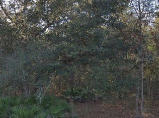 7085 South St, Webster, FL 33597