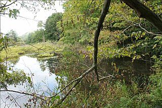 5th image of 12913 State Route 22