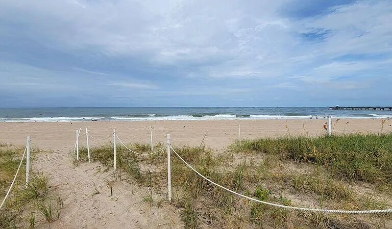 4445 El Mar Dr #303 — Photo 3
